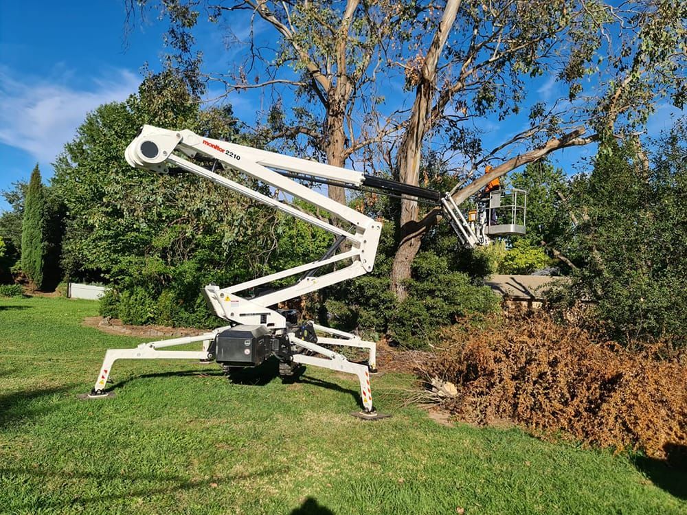 A Coastal Arborist Services Truck is Parked Next to a Tree — Coastal Arborist Services in Whitsundays, QLD