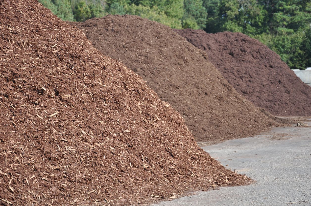 A Person Wearing a Pink Glove is Holding a Pile of Mulch — Coastal Arborist Services in Whitsundays, QLD
