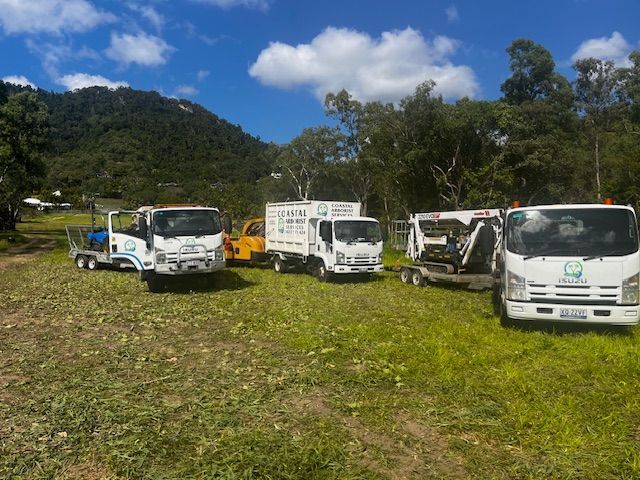 Three Men Chopping Trees With Wood Chipper — Coastal Arborist Services in Whitsundays, QLD