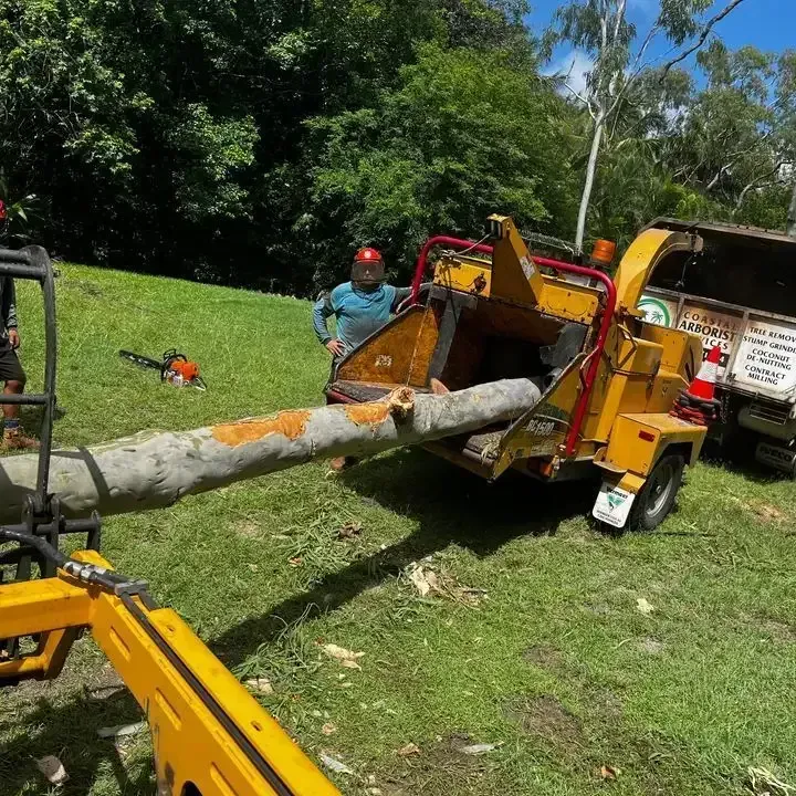 A man is standing next to a tree chipper in a field — Coastal Arborist Services in Bowen, QLD