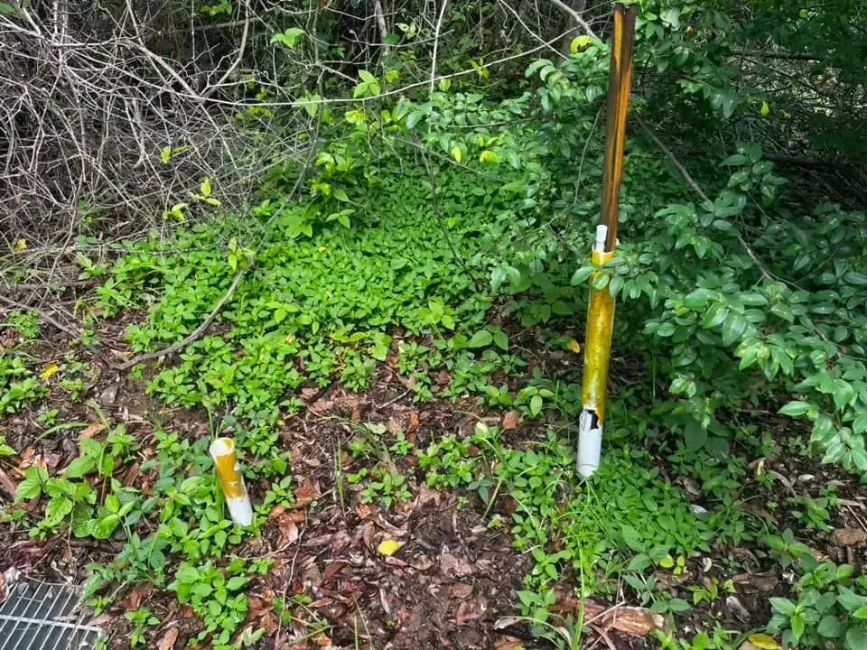 A Yellow Pole is Sitting in the Middle of a Lush Green Field — Coastal Arborist Services in Bowen, QLD