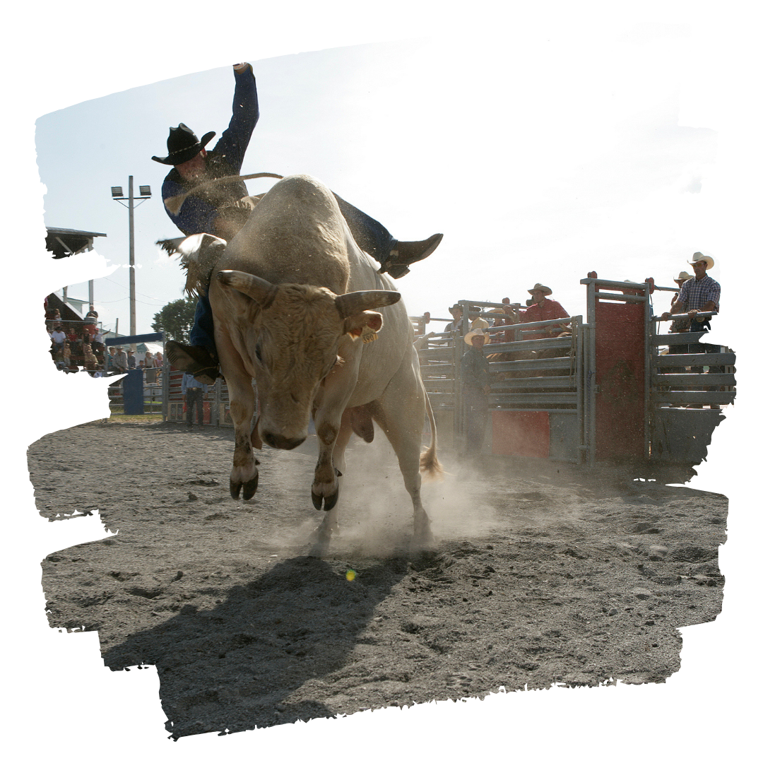 A man is riding a bull in a rodeo arena