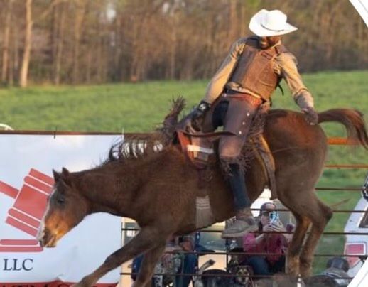 A man riding a horse in front of a sign that says llc