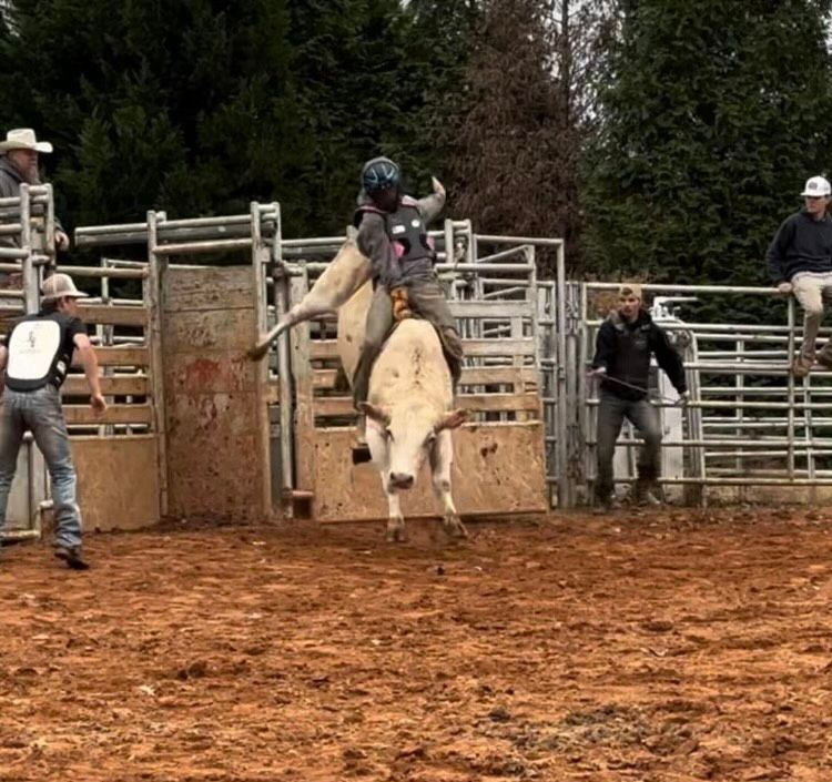 A man is riding a bull in a rodeo while people watch