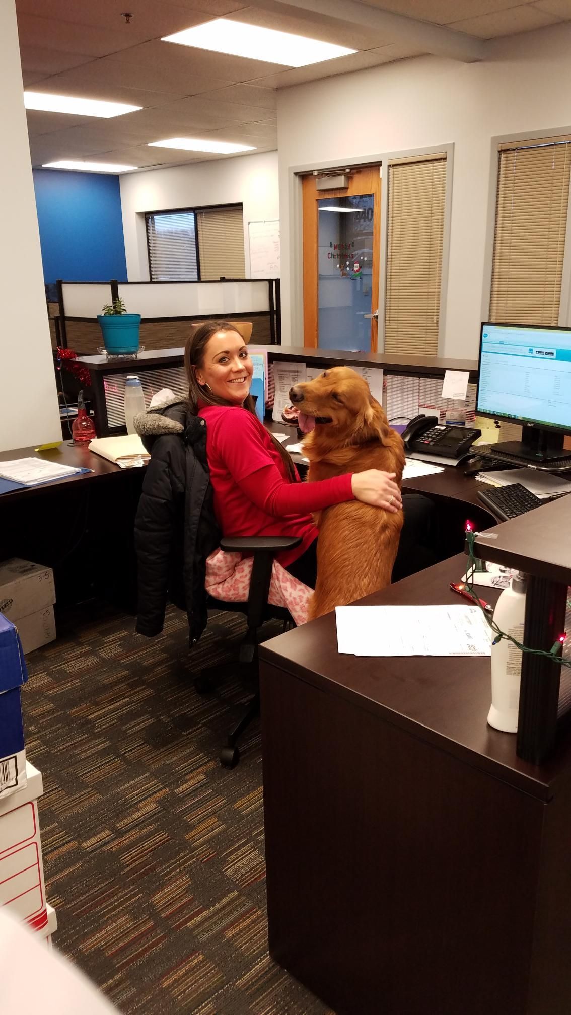 A woman is sitting at a desk with a dog on her lap.