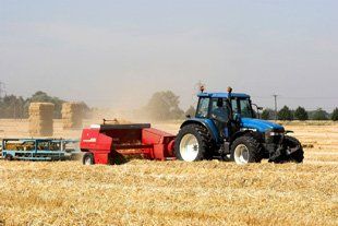 Hedge cutting - Heathfield - David Unsworth White - Hay making