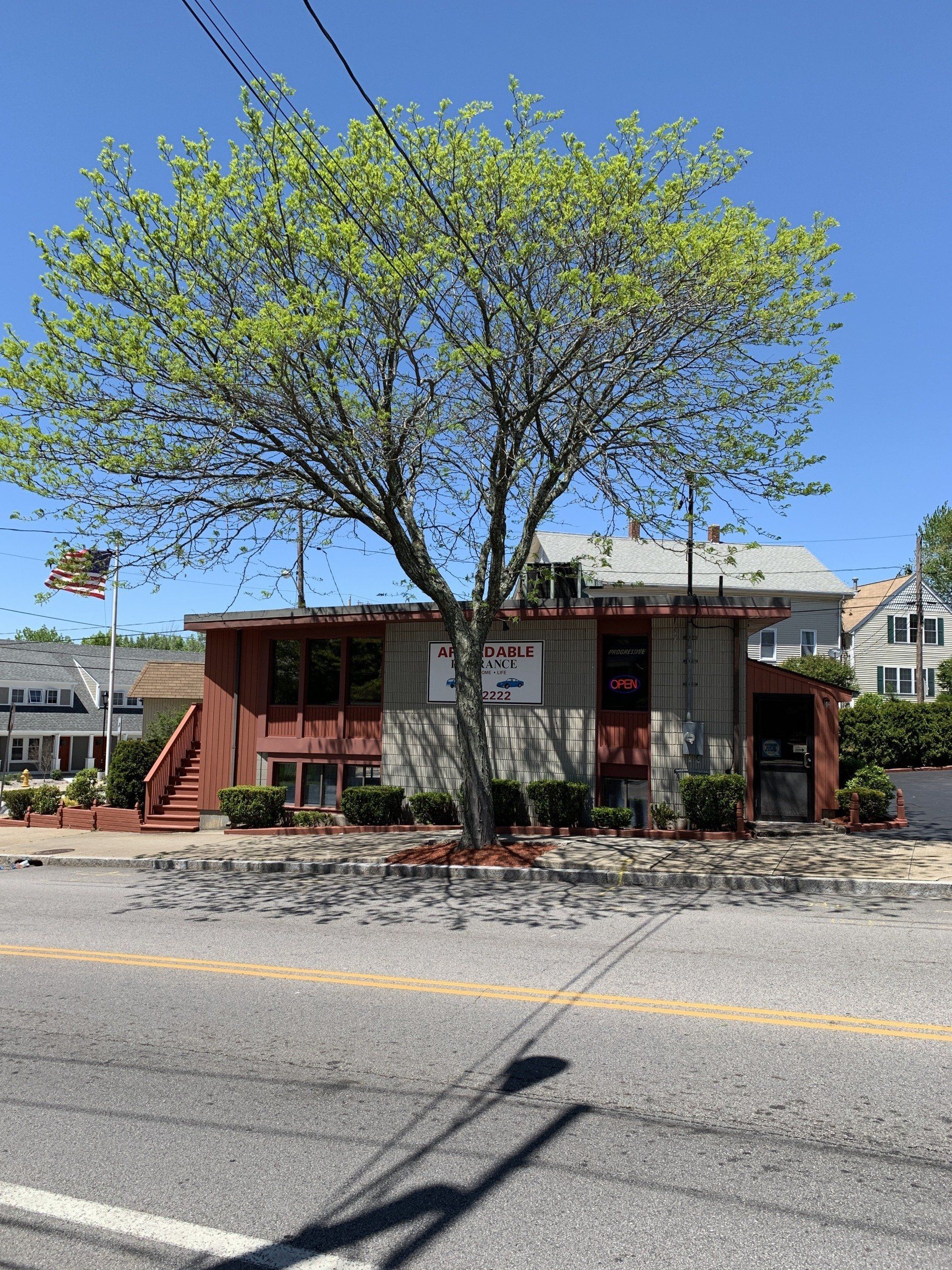 A small, red business building behind a tree, with a US flag.