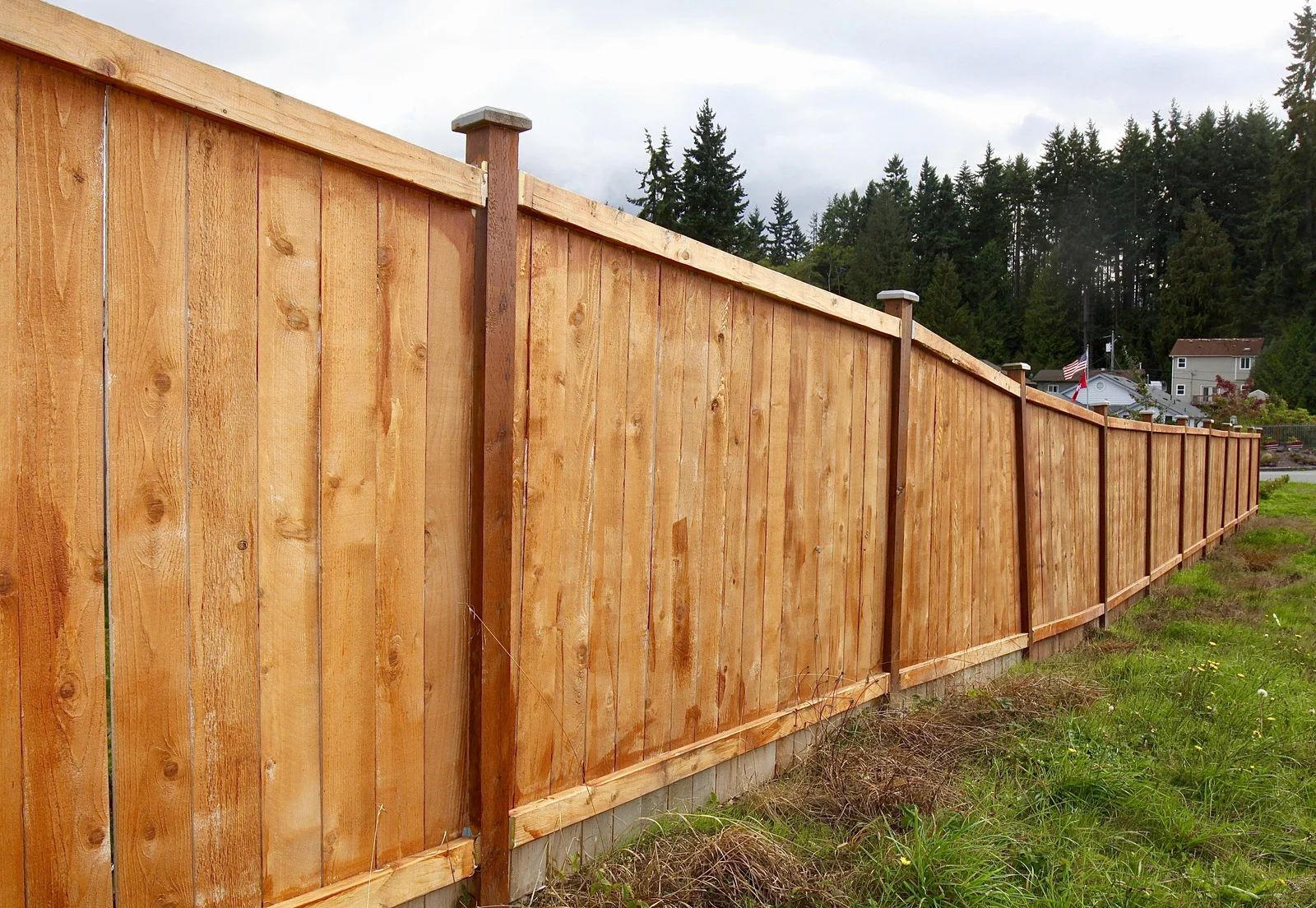 Wooden fence, stained light brown, runs along a grassy area. Forest in background.