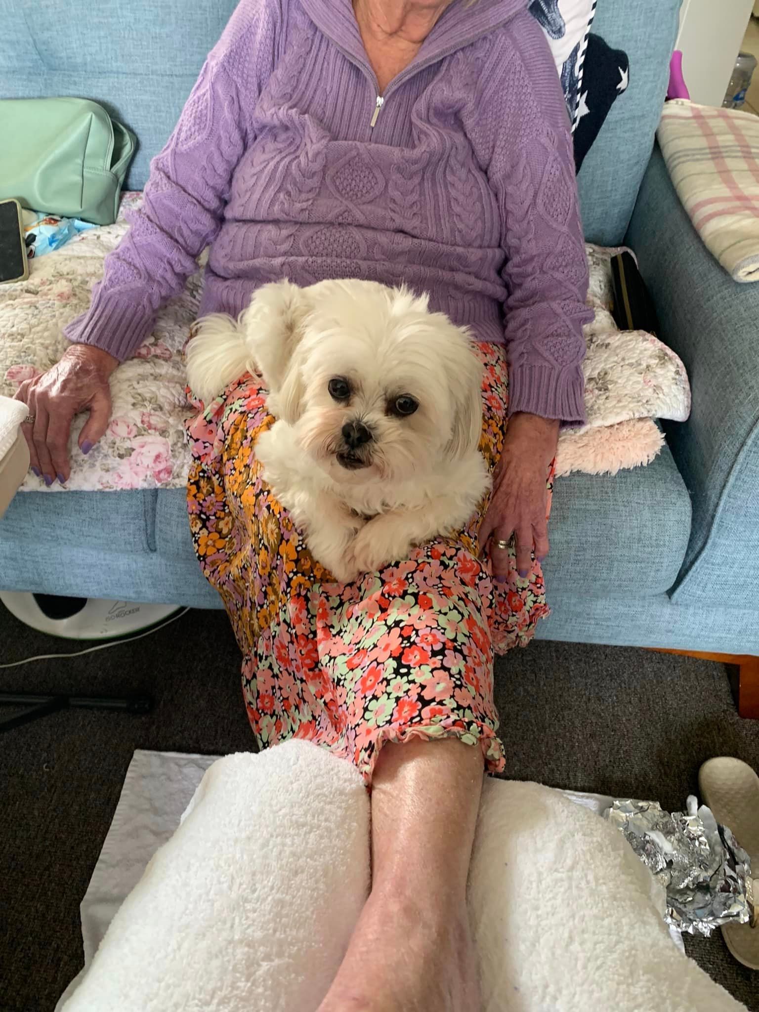 mobile pedicure and mobile manicure