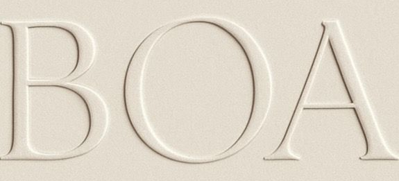 Boa Lasers logo
