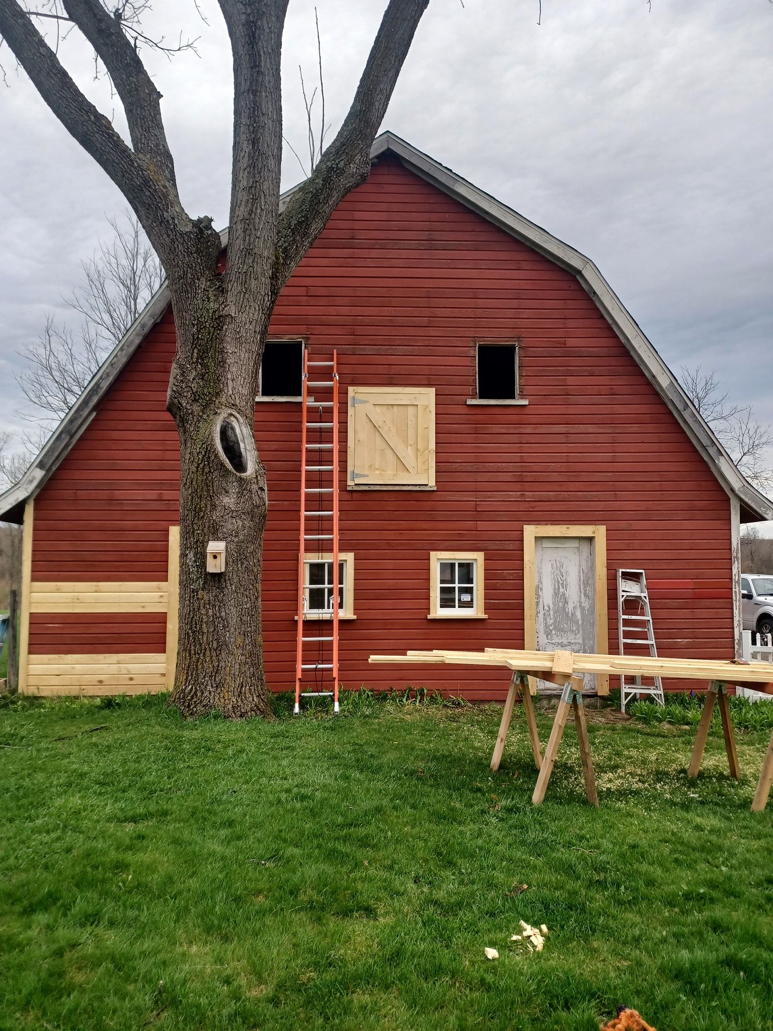 A red barn with a tree in front of it