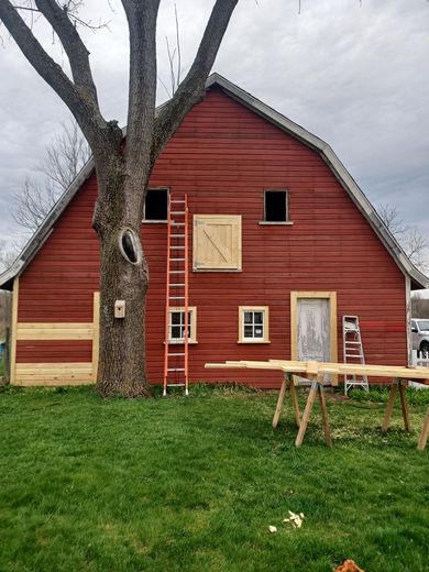 Red barn with open windows, surrounded by grass, with a tree and a ladder.