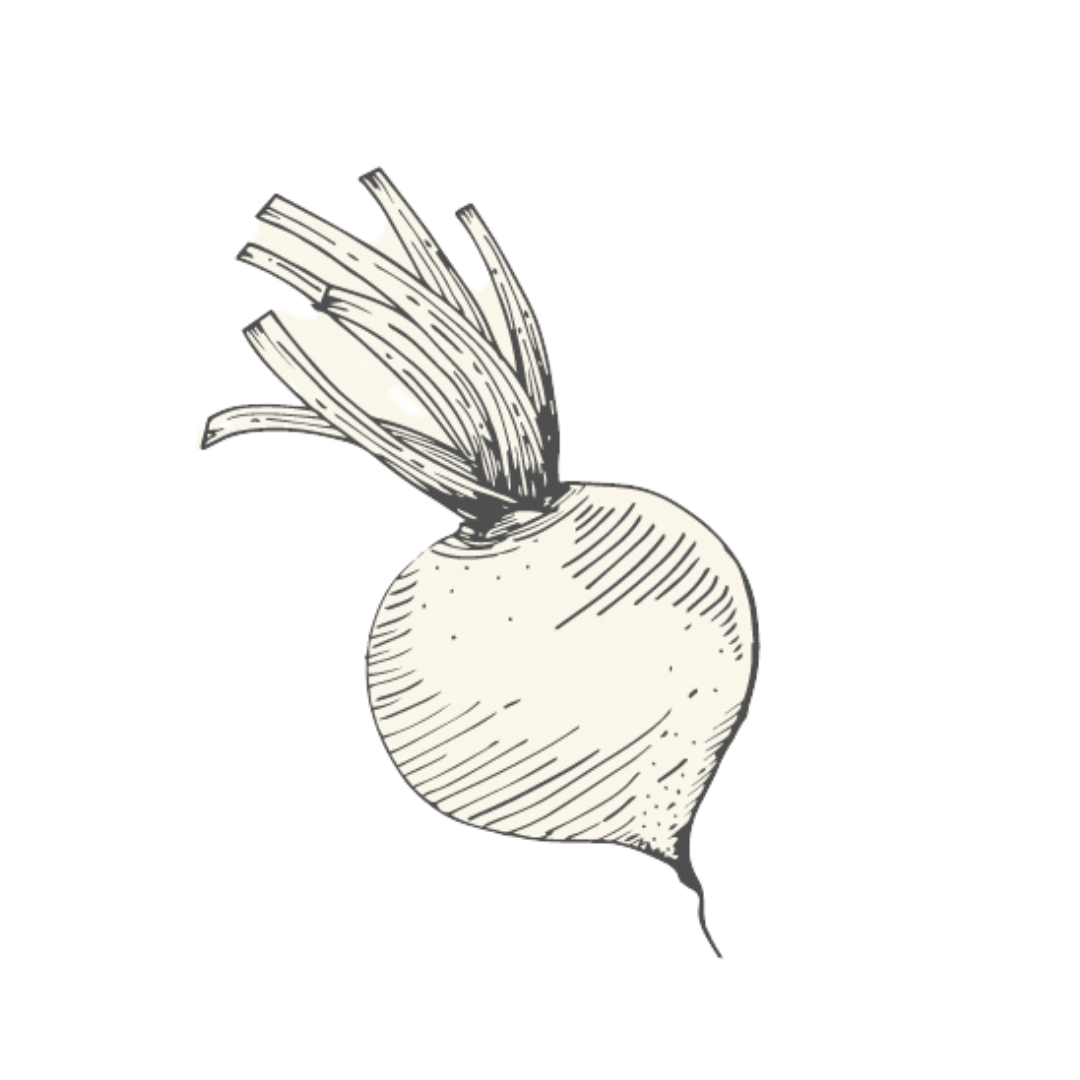 White turnip with leafy green top.