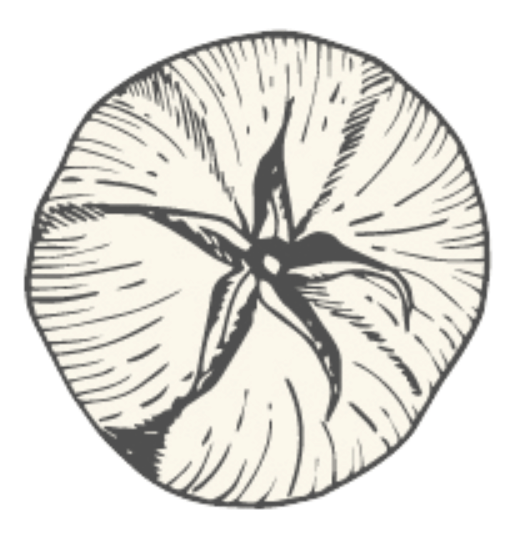 Top view of a tomato, showing the star-shaped stem and textured skin.