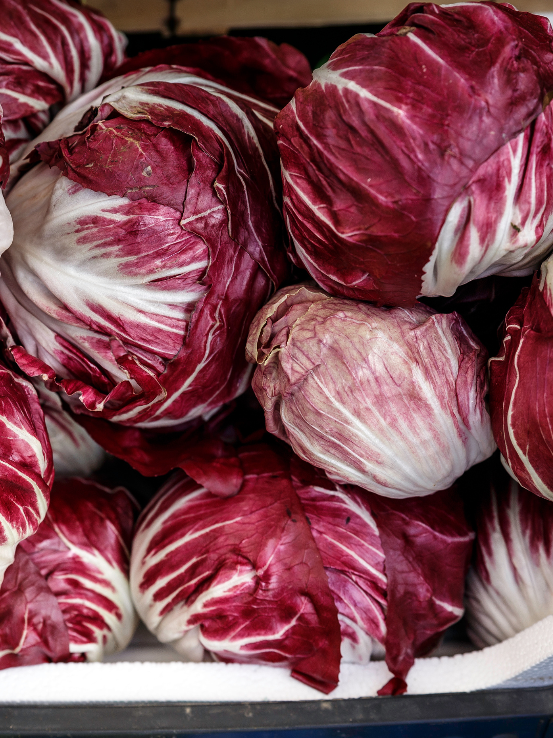 Close-up of several heads of radicchio, showcasing deep red and white leaves.