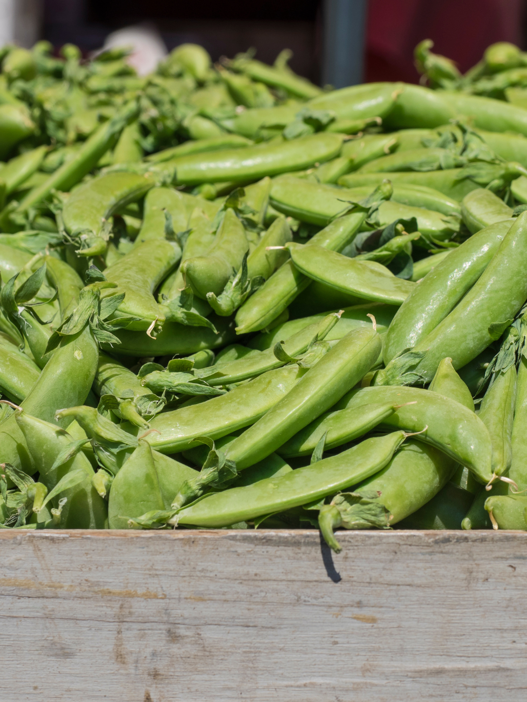 Pile of fresh, green snap peas in a wooden crate, close up.