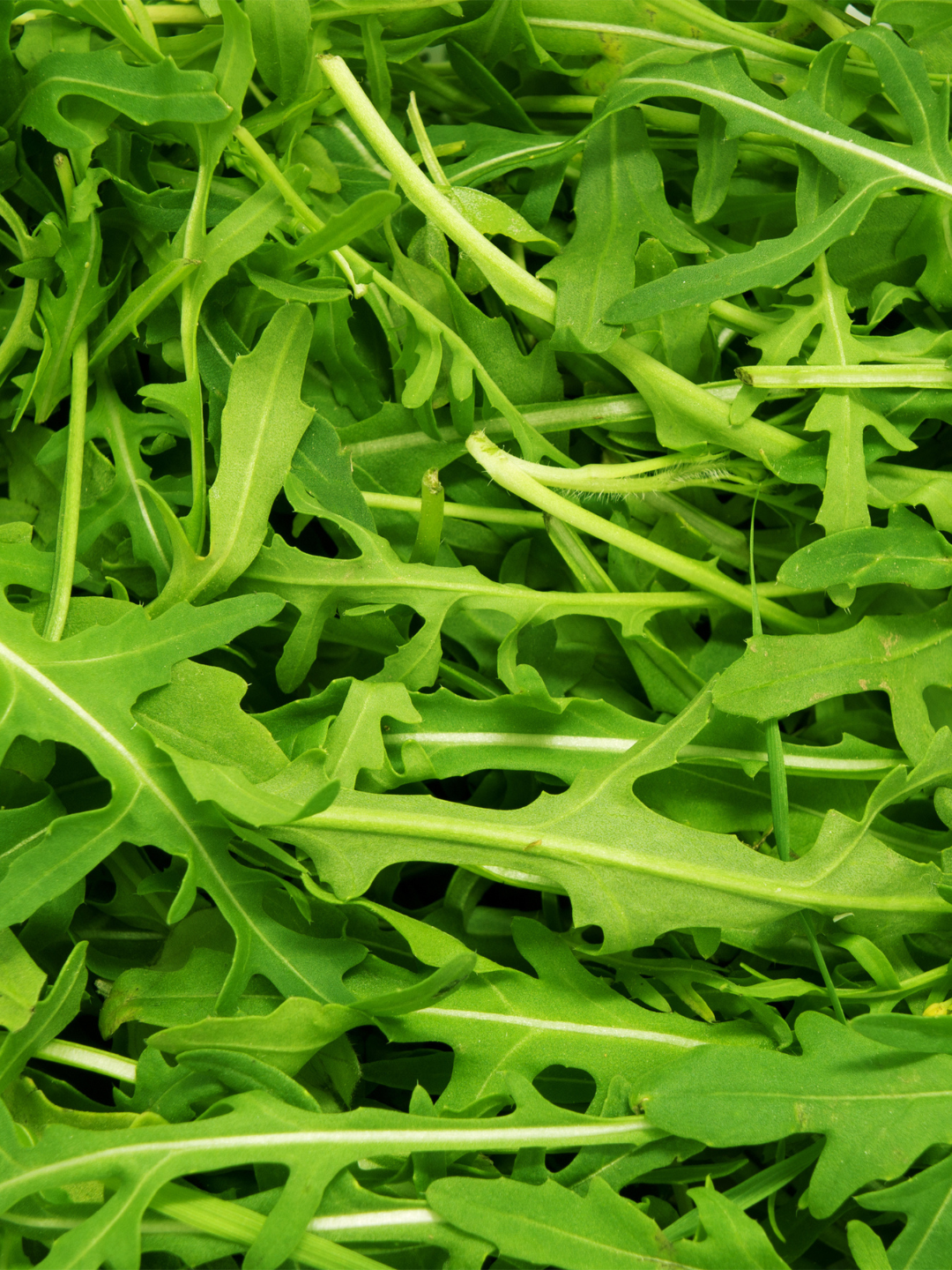 Fresh, green arugula leaves, tightly packed.