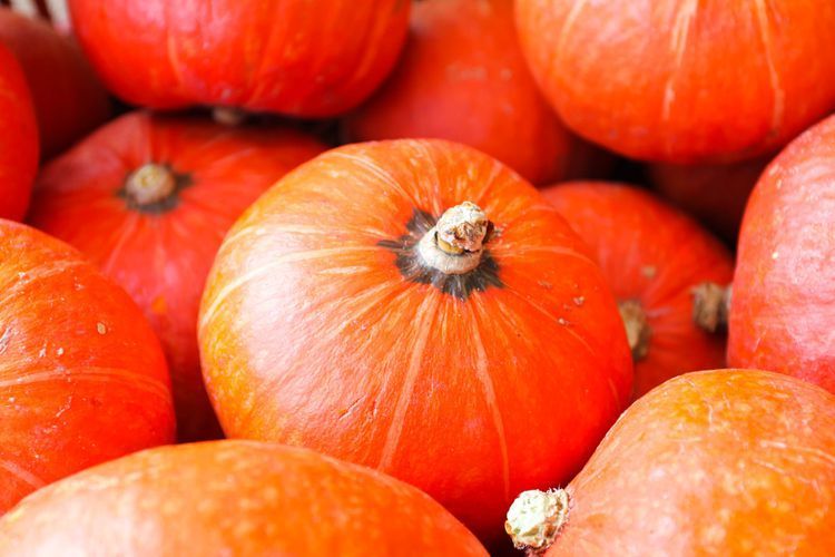 Pile of vibrant orange pumpkins with textured surfaces.