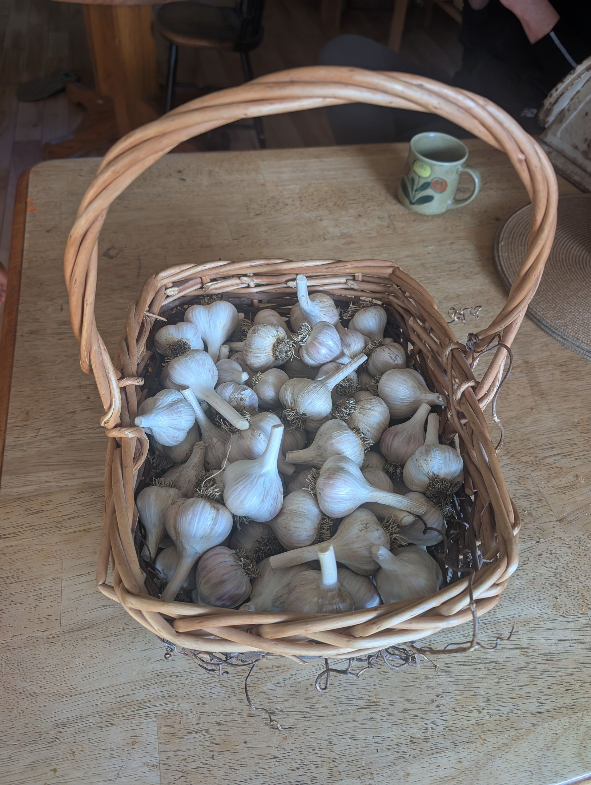 Wicker basket filled with garlic bulbs, on a wood table, handle upright. A mug sits nearby.
