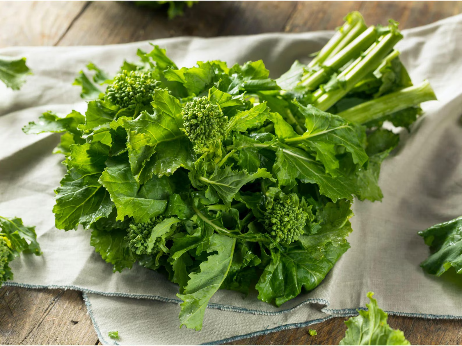 Bunch of fresh green broccoli rabe leaves and stems on a white cloth.