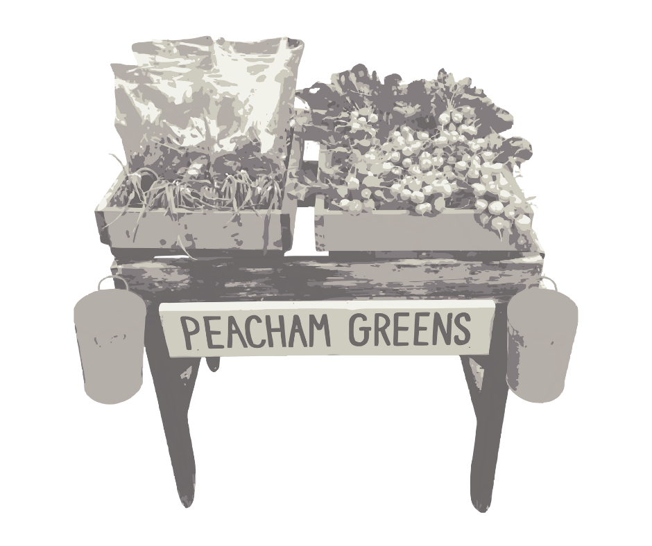 Peacham Greens produce stand with vegetables and sign.