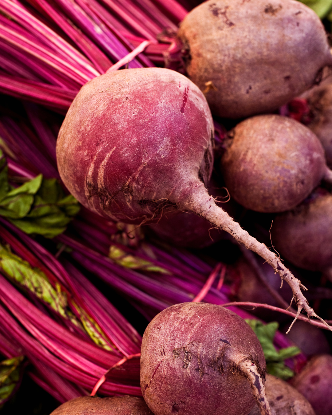 Close-up of fresh beets, round and purple, with long red stalks and green leaves.