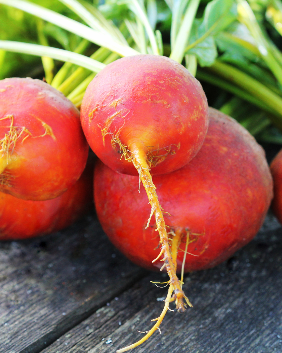 Red beets with yellow rootlets and green stems on a weathered wooden surface.