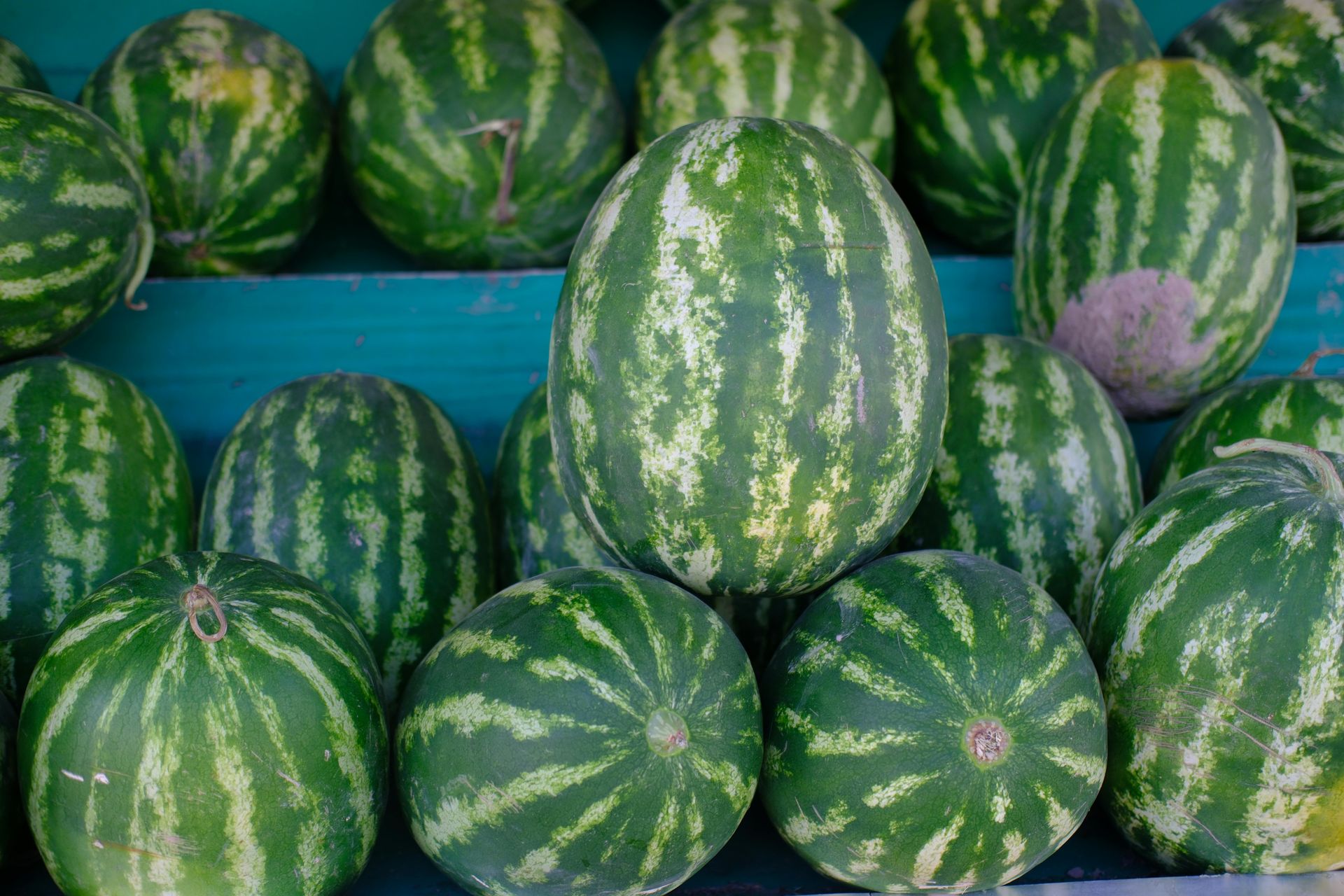 Watermelons, green with dark stripes, stacked on a shelf.