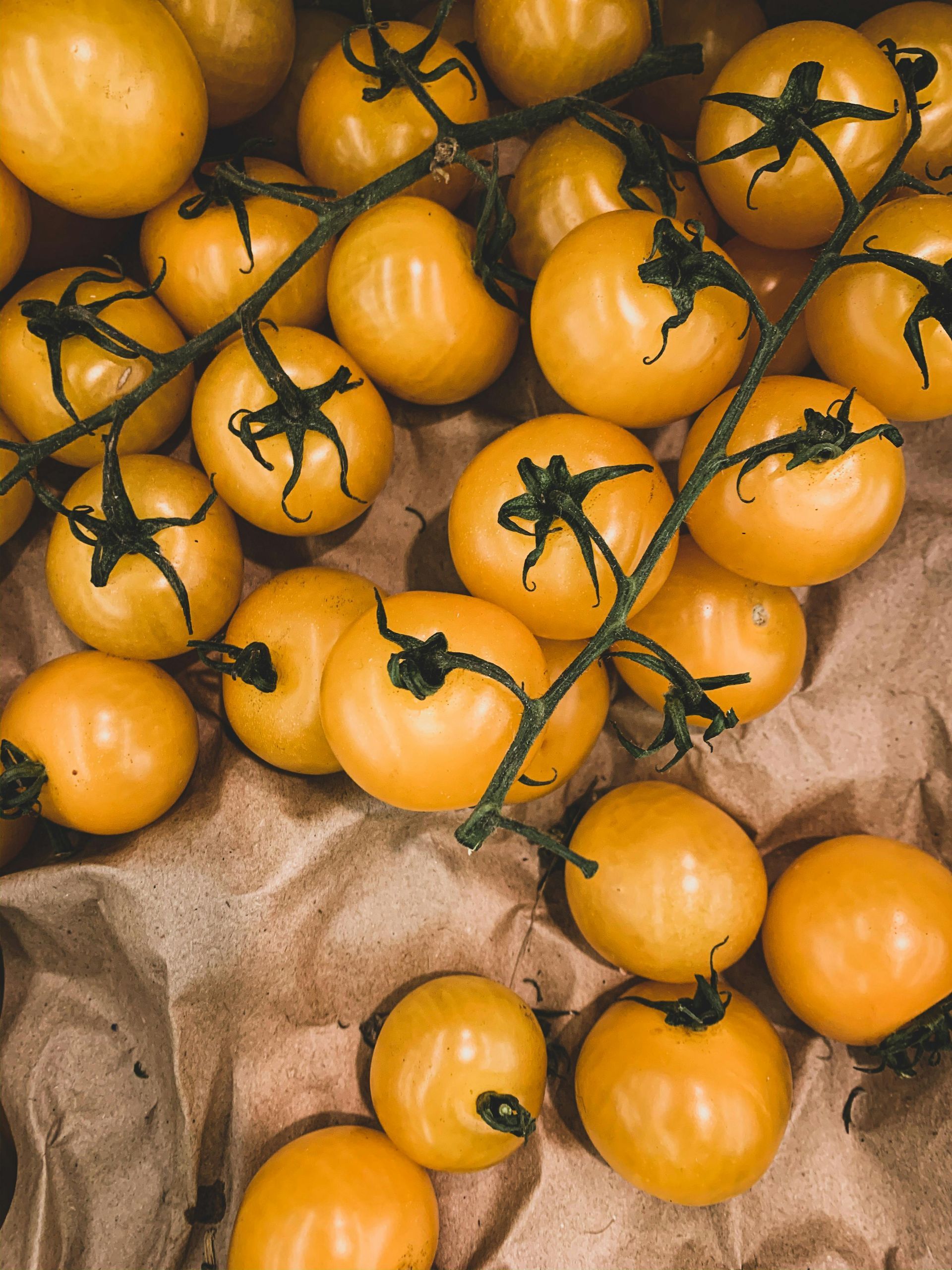 Golden Cherry Tomato - 4″ Pot Seedling