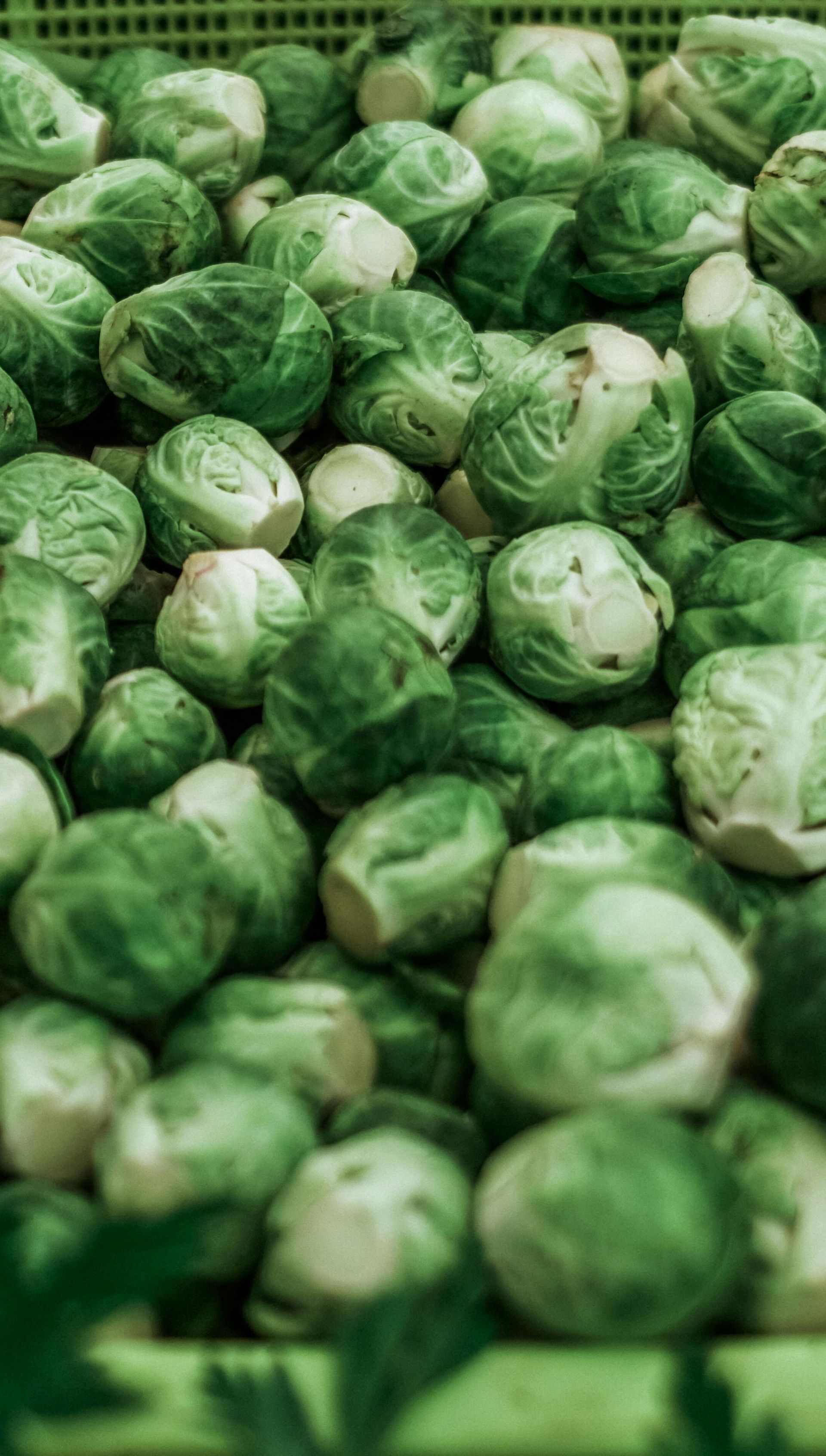 Brussels sprouts in a green container, tightly packed together.