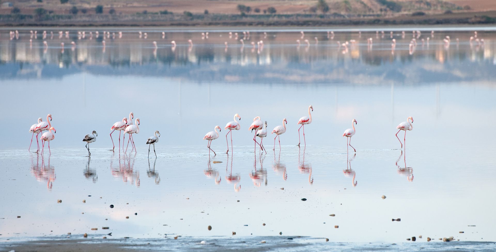 LARNACA SALT LAKE