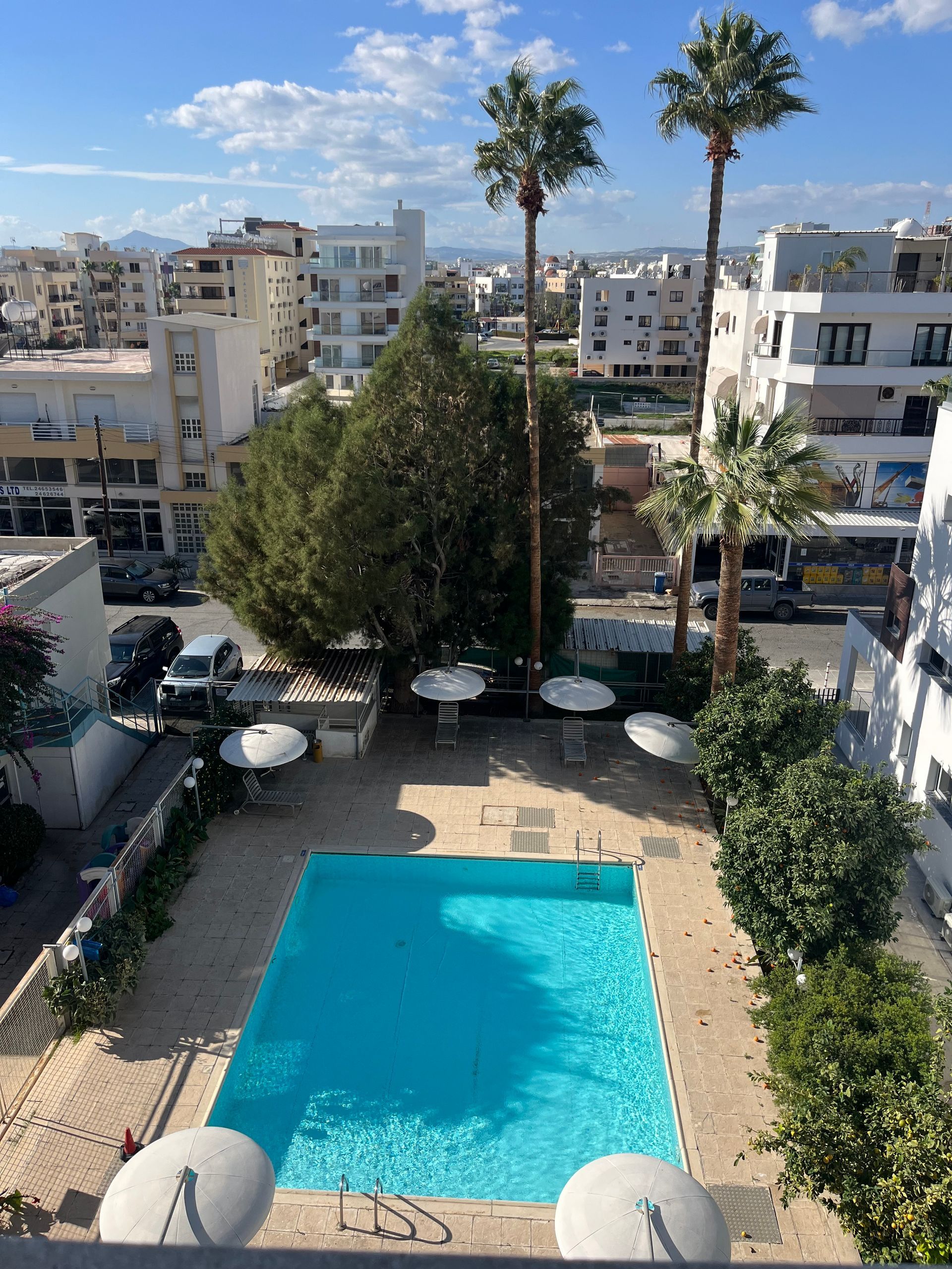 An aerial view of a large swimming pool surrounded by palm trees