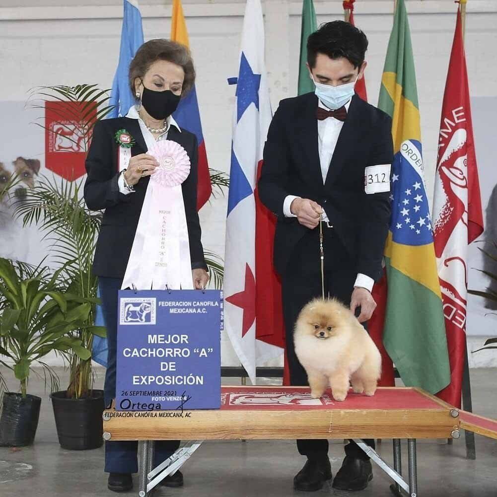 galeria de campeones