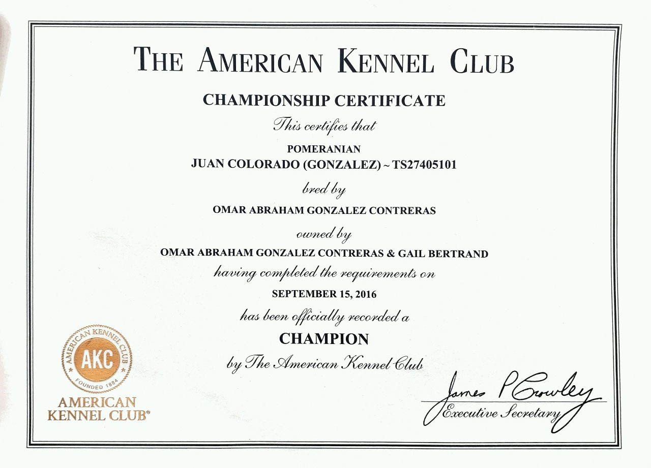 criadero de pomerania