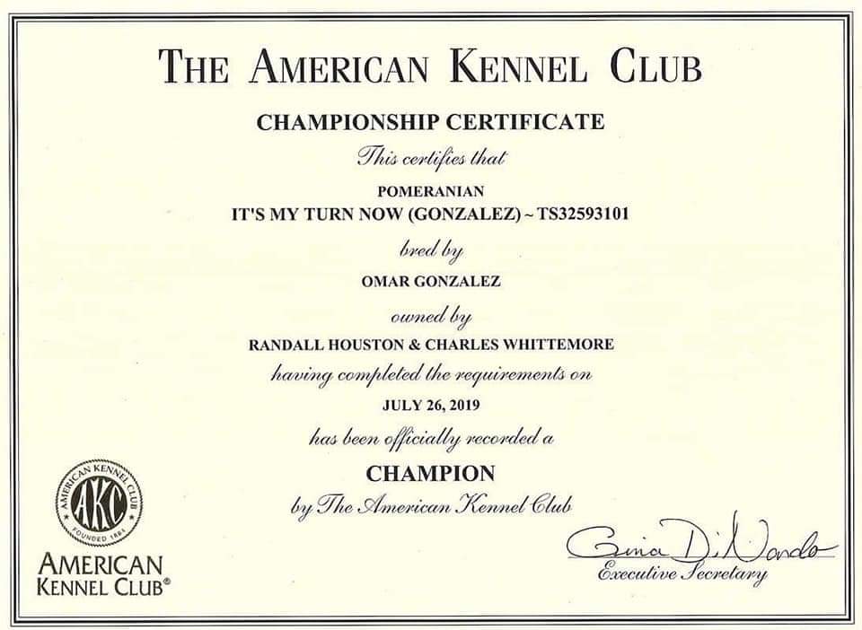 criadero de pomerania