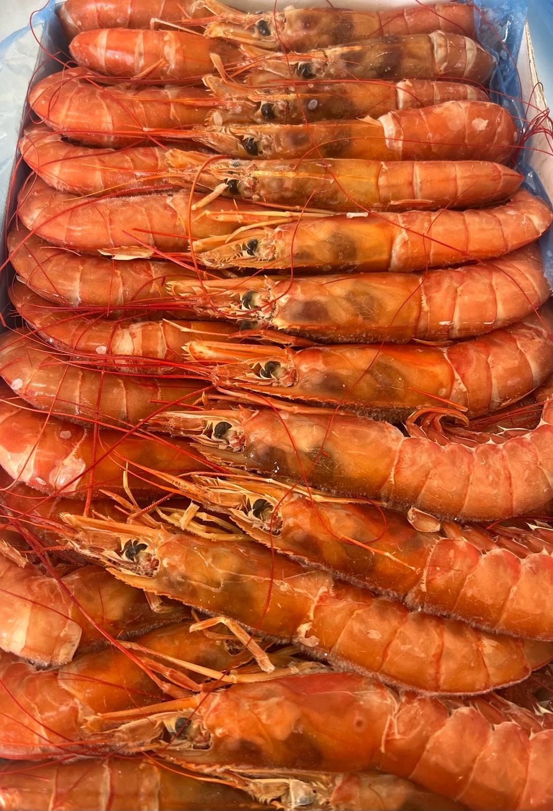 un mucchio di gamberetti