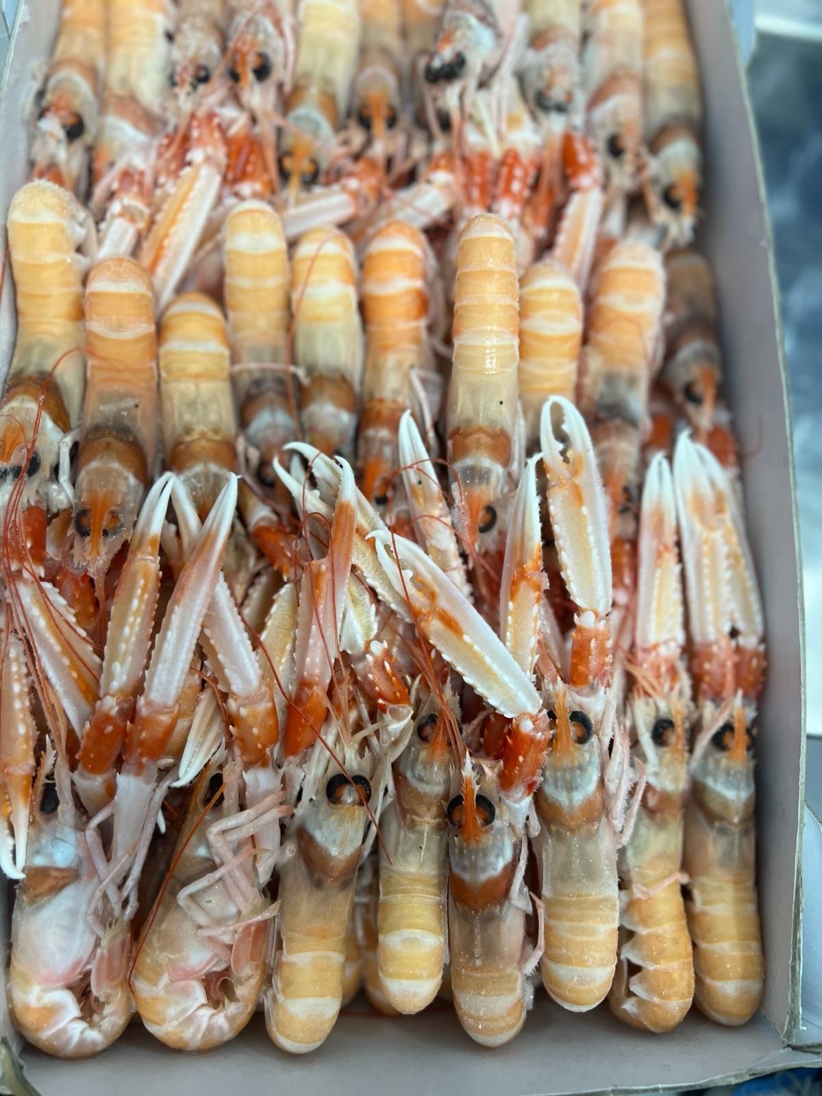 una scatola piena di gamberetti