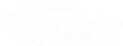 Support our Spring Giving Campaign Support our Spring Giving Campaign