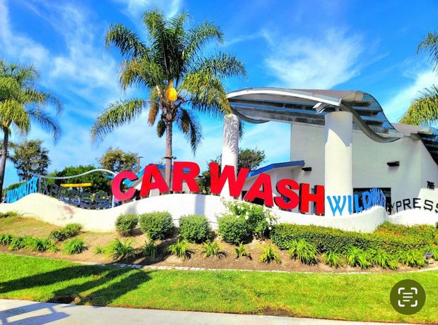 A car wash with a palm tree in the background