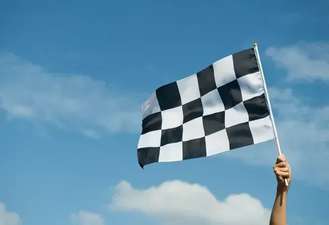 A person is holding a black and white checkered flag in the air.