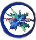 DGM Pro Painters