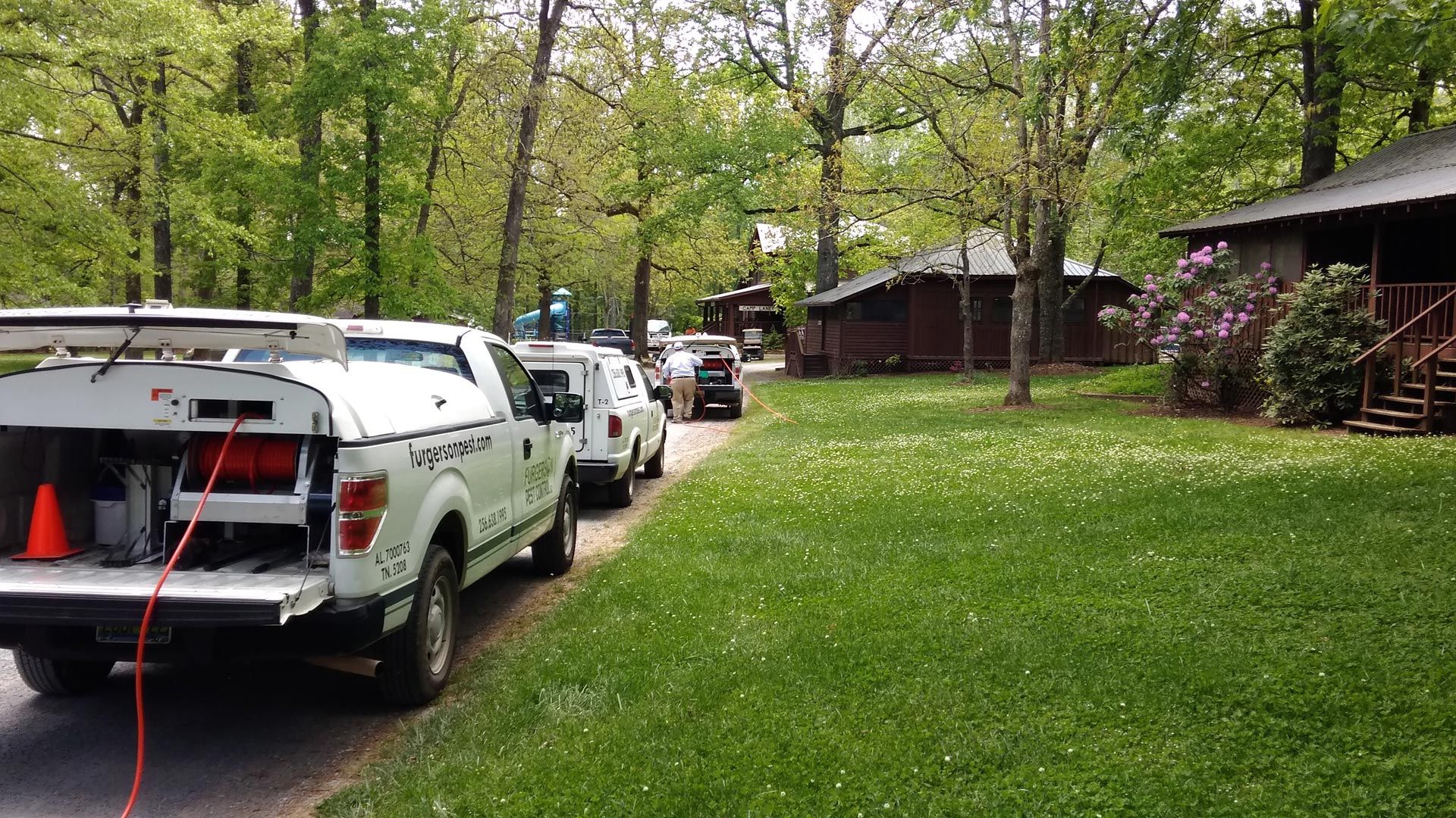 Pest Control Solutions Fort Payne, AL