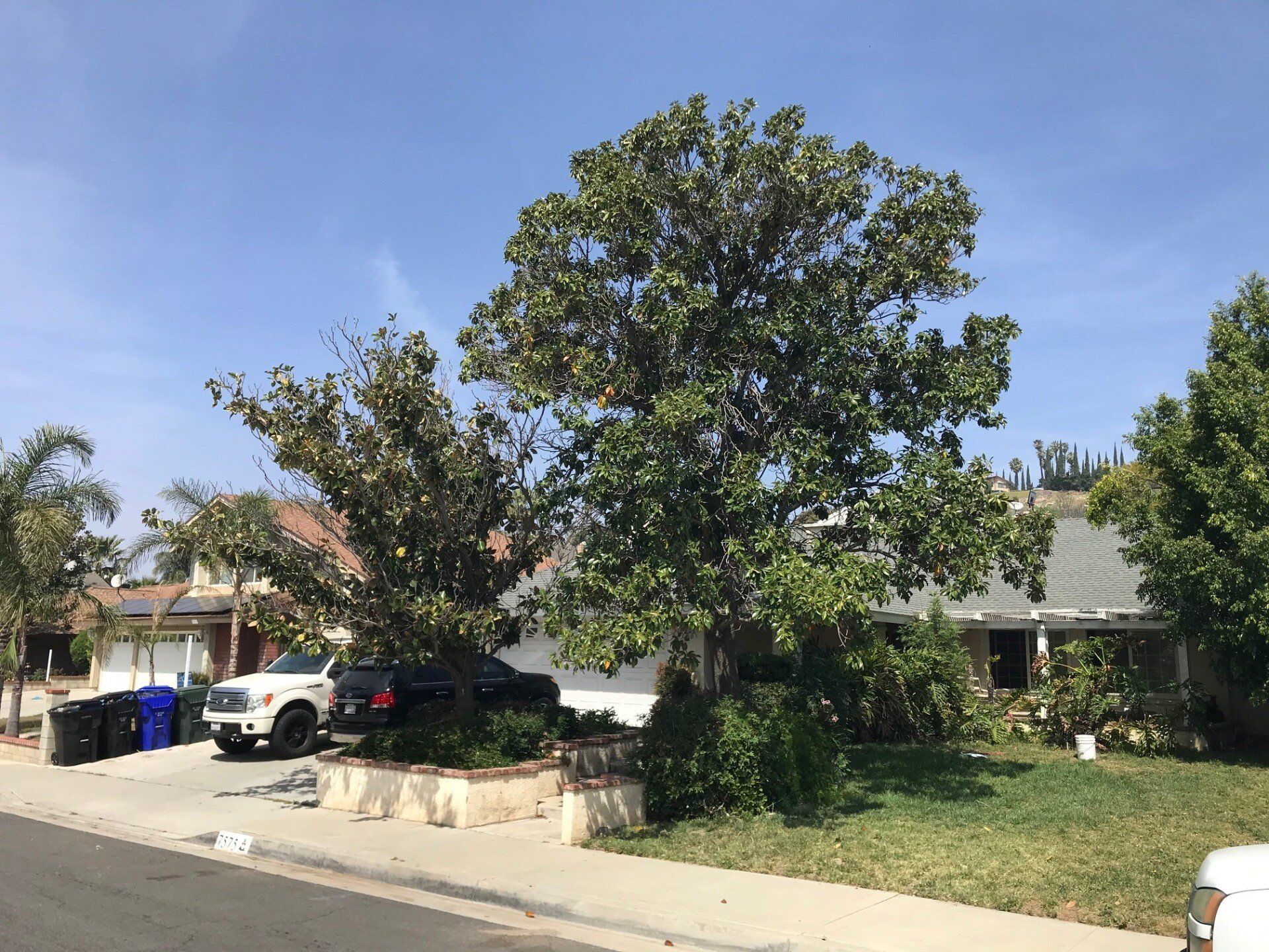 Residential house with two large trees in front, a car, and green lawn under a blue sky.