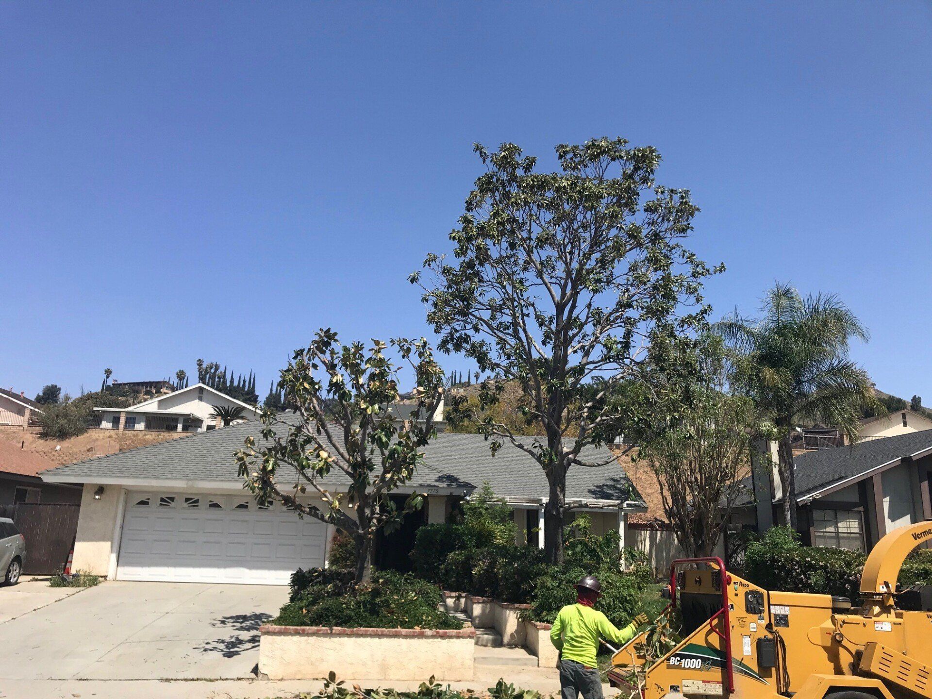 Man in green shirt trimming a tree in front of a suburban house on a sunny day.
