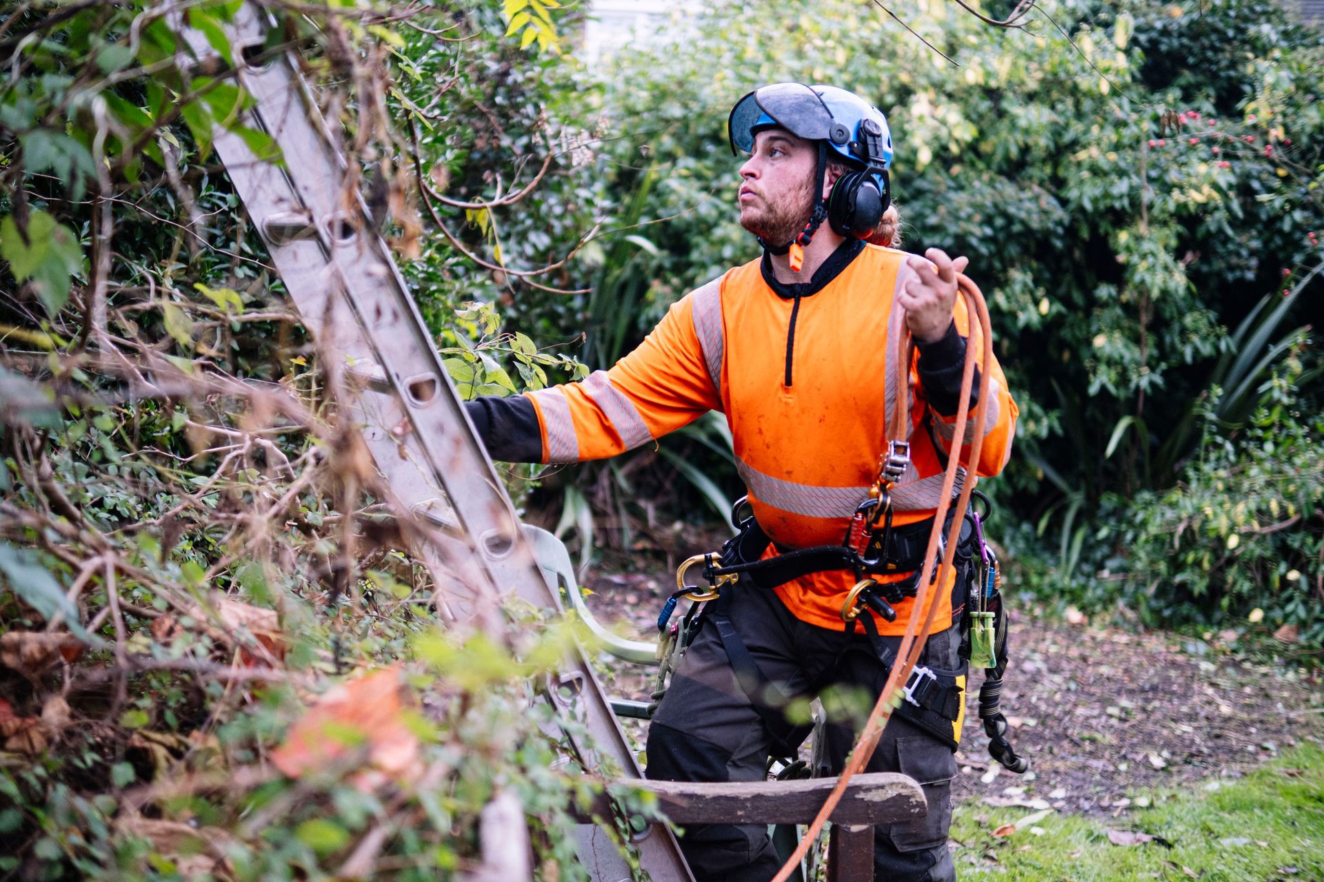 Worker in helmet looking up at a ladder outdoors among green foliage.