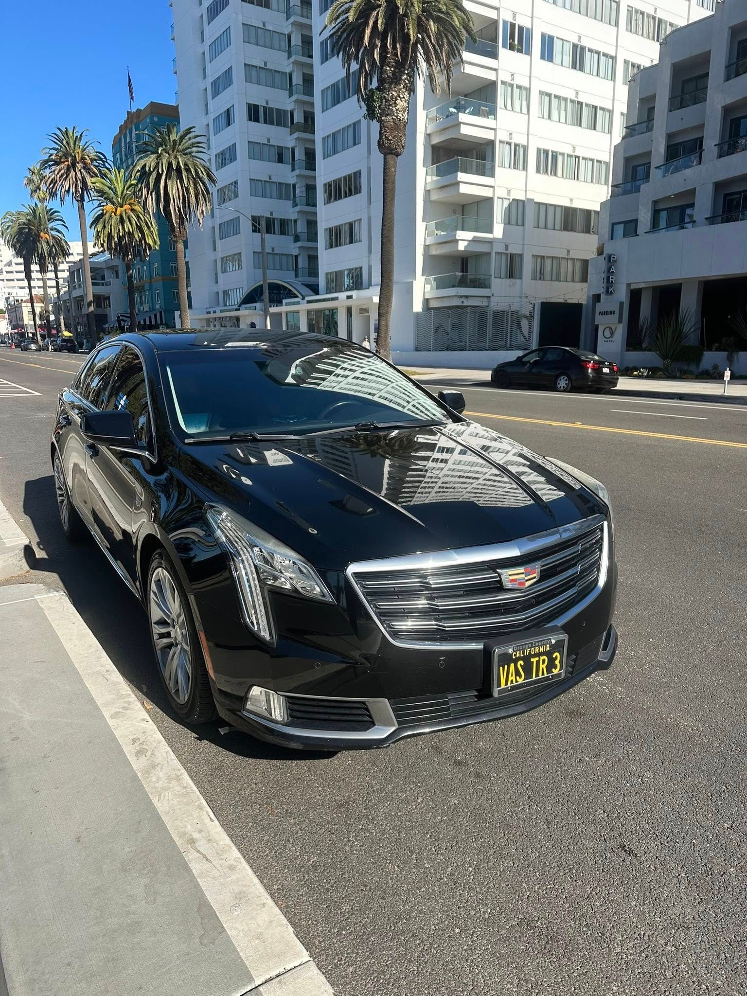 Black Cadillac sedan parked on a city street; palm trees and white buildings in background.