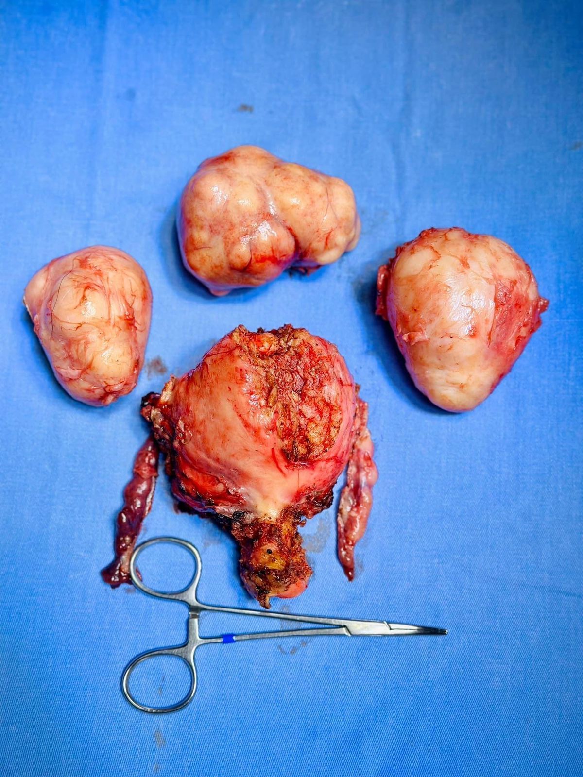 RAMIREZ PALOMINOS SERGIO C. DR.