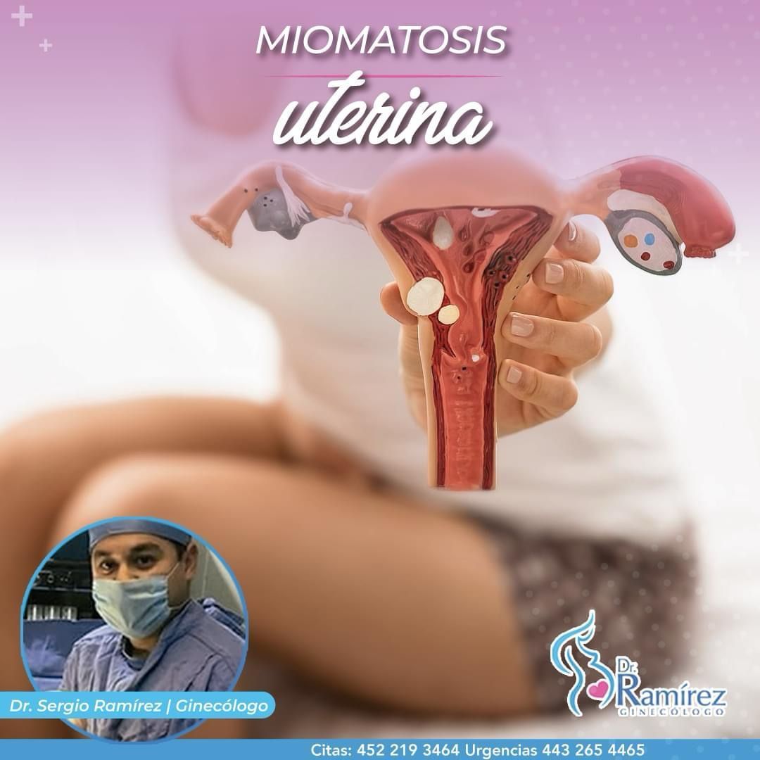 RAMIREZ PALOMINOS SERGIO C. DR.