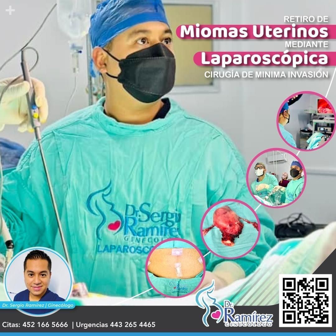 RAMIREZ PALOMINOS SERGIO C. DR.