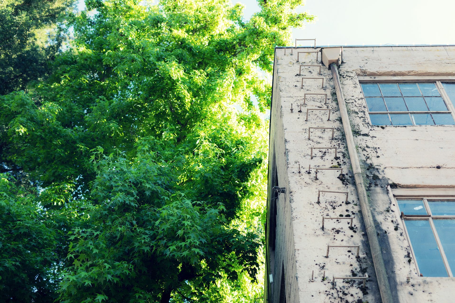 Downtown Nevada City, CA